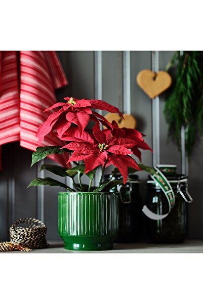 IKEA VINTERFINT Plant pot, indoor/outdoor, green, 12 cm