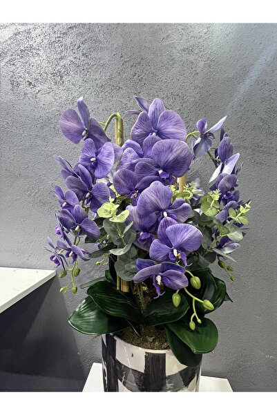 SürprizÇiçekEvi Büyük Seramik Kupa Vazoda Mor Islak Orkideler