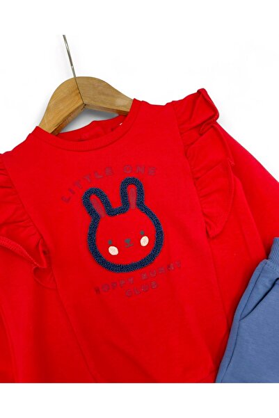 Egelite Baby Girl Transitional 6-9-12-18-24 Months Old Rabbit Printed Top and Bottom Stylish Set