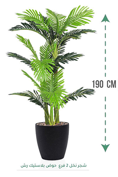 Generic 2-branch palm tree in a plastic tub