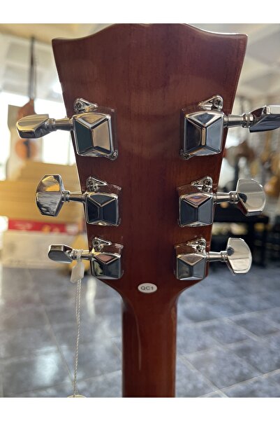 MASTERWORK Elektro Akustik Gitar