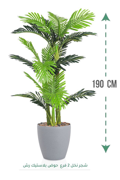 Generic 2-branch palm tree in a plastic tub