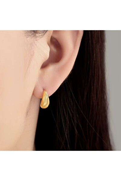 delis 925 silver earrings, JW1671, drop model, gold plated
