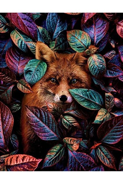 zola Set pictură numere, vulpe în frunze, accesorii incluse, 47x58 cm