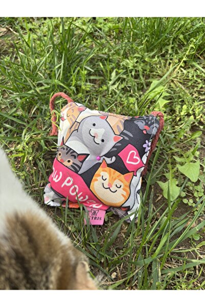 Petris Catnip Pillow 12X12 cm (Catnip Pillow)-Cat Play Pillow