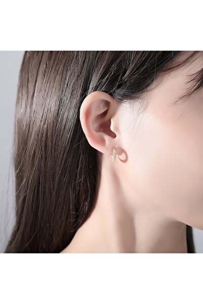 delis Round earrings 925 silver, JW1844, elegant model, gold plated