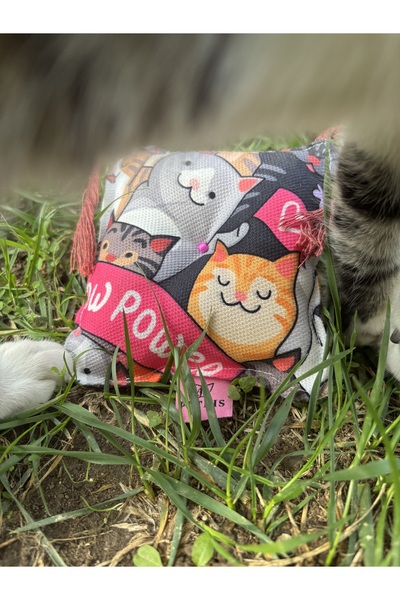 Petris Catnip Pillow 12X12 cm (Catnip Pillow)-Cat Play Pillow