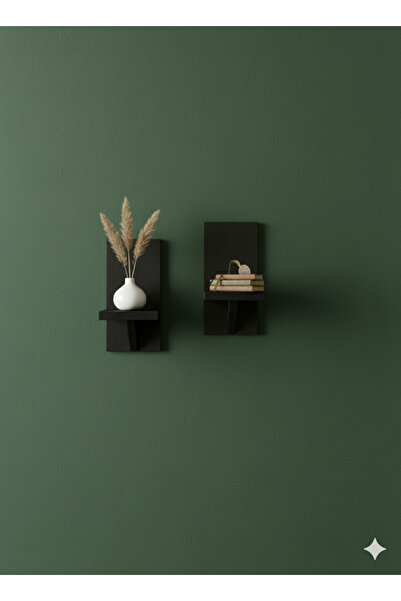 VEO STORE 2 Pieces Modern Wall Shelf