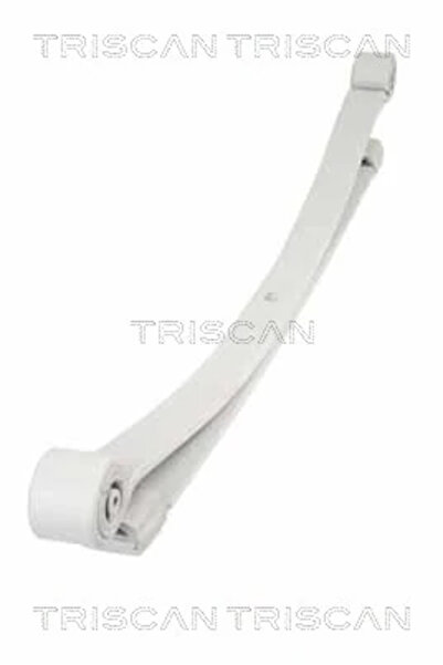 TRISCAN Pachet Arc Cu Foi Puntea Spate Mercedes-Benz Sprinter 3,5-T Bus/Sprin...