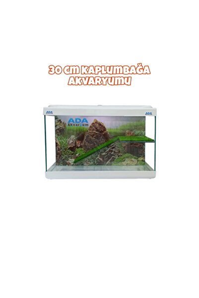 ADA AKVARYUM Su Kaplumbağası Akvaryumu Bahçeli Rampalı Dinlenme 30x23x15 Cm Arka Plan Hediyeli