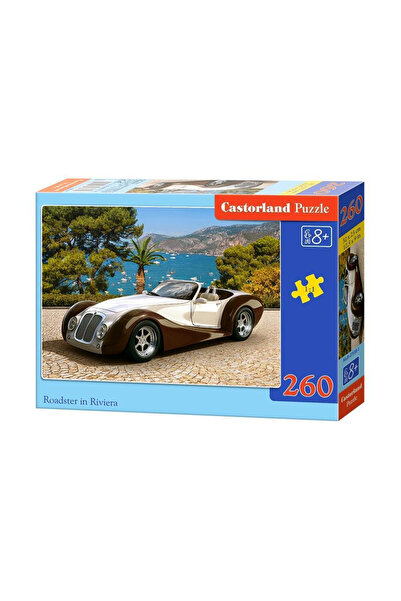Castorland Пъзел 260 части Кола 27538