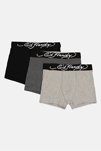 Ed Hardy Kids Boy 3 Packs Brand Logo Boxers, Multicolor