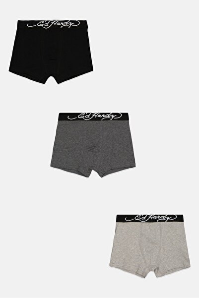 Ed Hardy Kids Boy 3 Packs Brand Logo Boxers, Multicolor