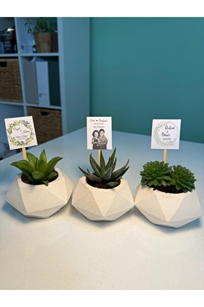 FİDAN PAZARI NİŞAN SÖZ HEDİYELİĞİ ALTIGEN MODEL BETON SAKSILI SUKULENT (20 ADET)