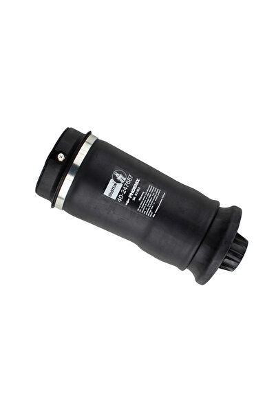 Bilstein Arc Pneumatic Directie Puntea Spate Mercedes-Benz Gl-Class/Gle/M-Class