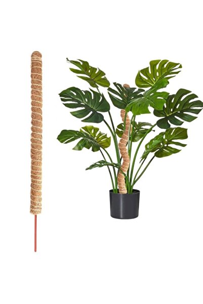 Generic HANNEA® 60 cm Moss Pole for Plants Monstera, 4mm Dia 23.6 Inch Bendab...