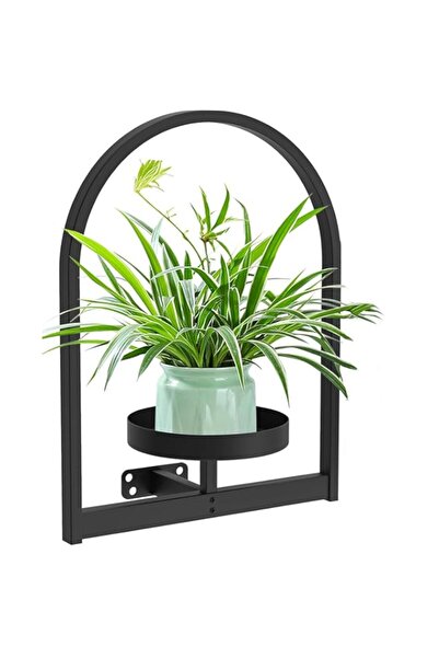 Generic Tazweeq Wall-mounted Plant Hanging, Indoor Plant Wall Flower Pot Hang...