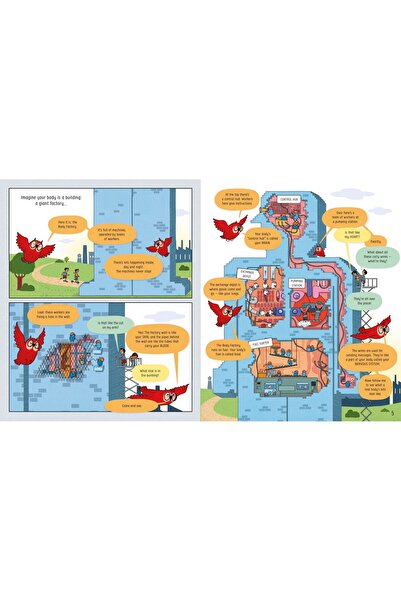 Usborne The Book of the Body and How It Works