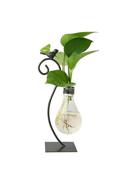 Generic Glass Hydroponic Planter Bulb, Modern Desktop Vase with Stand, Terrar...