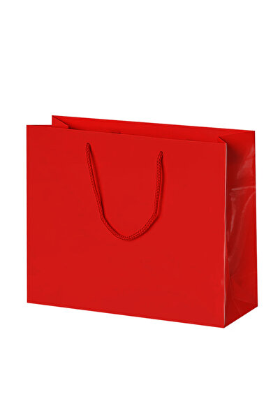 ALPJOY 42X38X12 Cardboard Bag 10Pcs Red