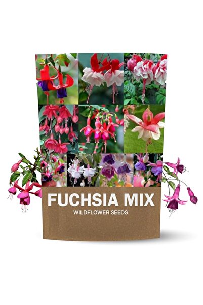 Generic Fuschsia Flower Seeds for Planting | Flower Seeds for Planting in Out...