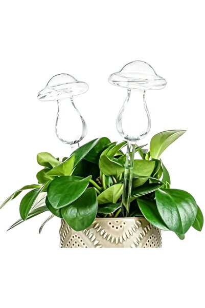 Generic 2pcs Plant Watering Bulbs,Decorative Glass Self Watering Planter Inse...