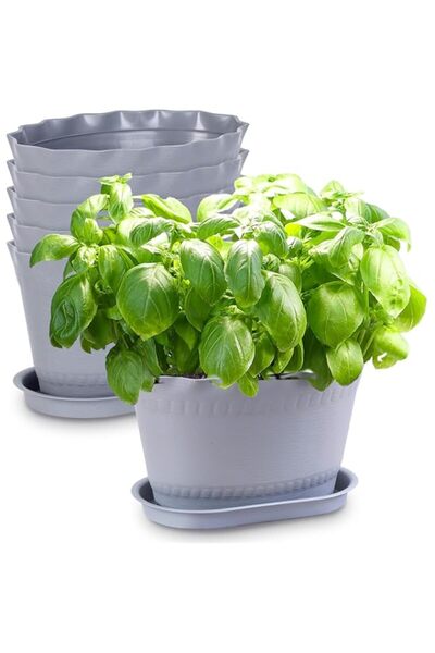 Generic 2-Piece Grey Herb Planter Pots - Window Box Style for Succulents, Cac...