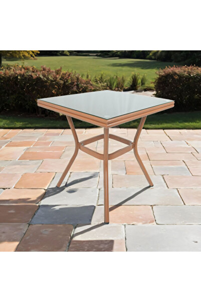 Living Accents Square Shaped Glass Top Aluminium Table