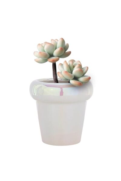 Generic Electroplating Polished Planters,5 inch Unique Glazed Ceramic Pots fo...