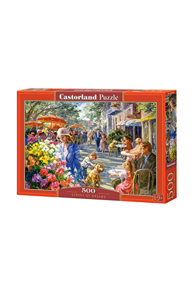 Castorland Street of Dreams 500 piece puzzle 53438
