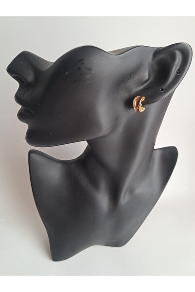 BHR AKSESUAR Brown Tiny Earrings (1cm)