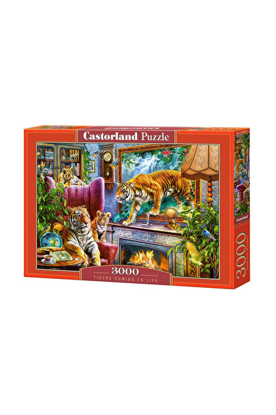 Castorland Puzzle 3000 pieces Tigers 300556