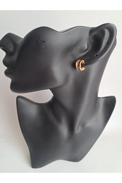 BHR AKSESUAR Brown Tiny Earrings (1cm)