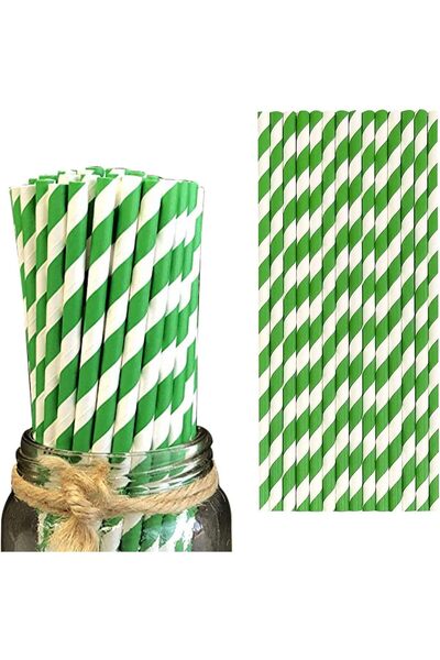 4basix Biodegradable Paper Straws (Pack of 100) - Green