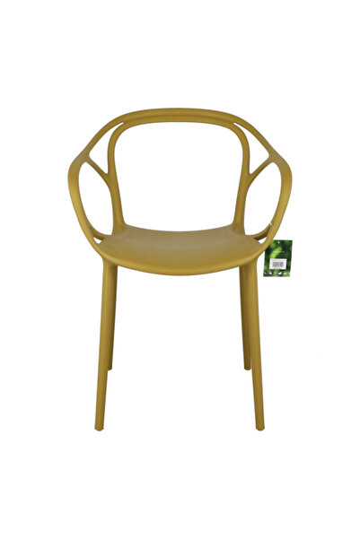 Generic Elegant and Modern Design Muiz Chair