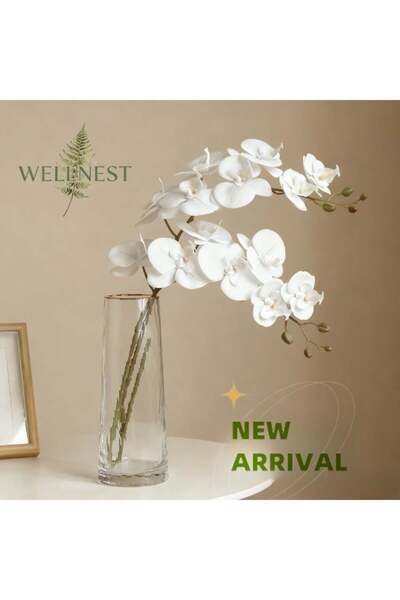 WELLNEST 3 قطع من الاركيد الابيض