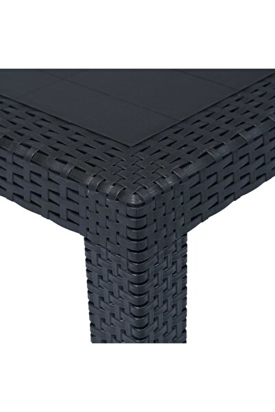vidaxl Garden Table Anthracite 220x90x72 cm Plastic Rattan Look
