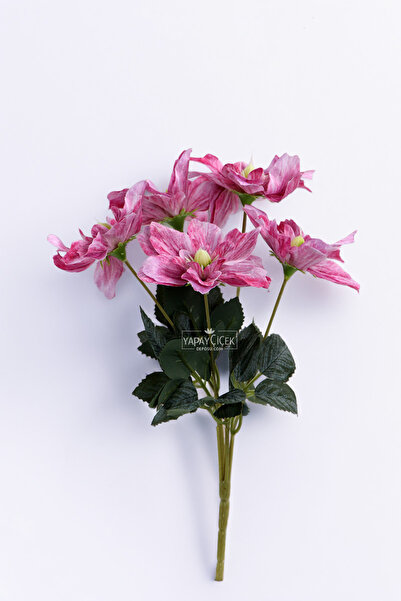 Yapay Çiçek Deposu Yapay 5 Çiçekli Star Çiçeği 30 cm Fuşya