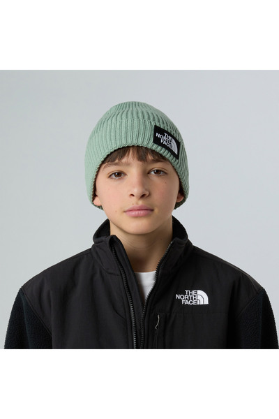 THE NORTH FACE Логотип Box Cuffed Yeşil Bere