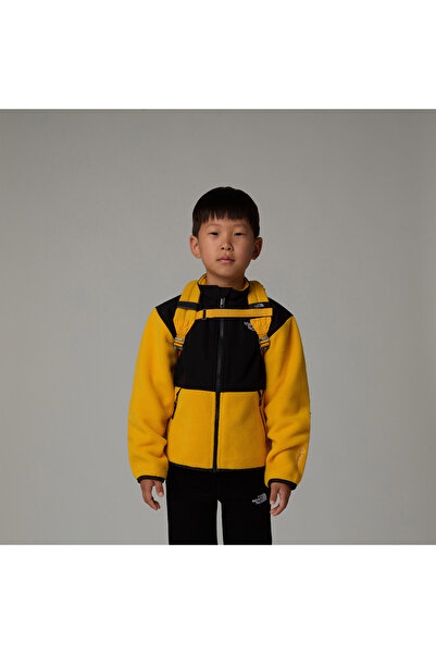 THE NORTH FACE Dětský barevný batoh Mini Explorer