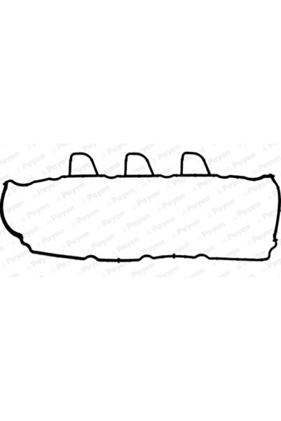 PAYEN Garnitura Capac Supape Dacia Duster/Lodgy/Logan Mercedes-Benz A-Class/C...