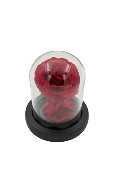 B&D B&D Décor Flower Glass Tube with Small Red rose