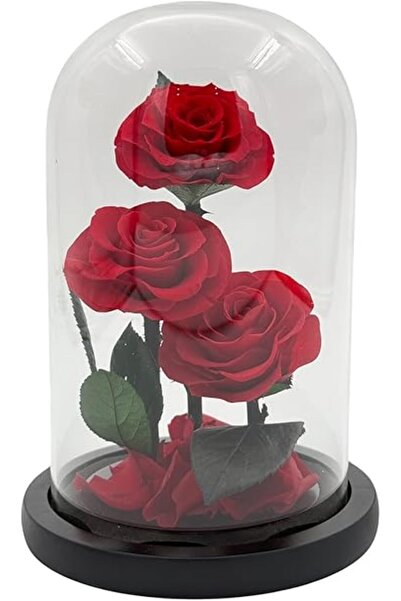 B&D B&D Décor Flower Glass Tube with 3 Red Roses