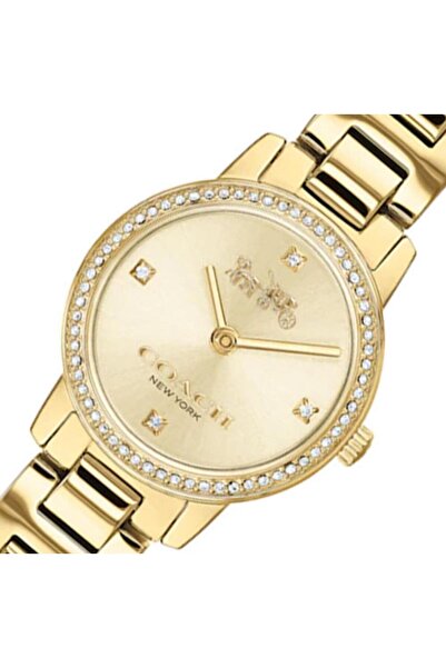 Coach New York Audrey Gold Tone Stainless Steel Quartz 14503367 Women's Watch