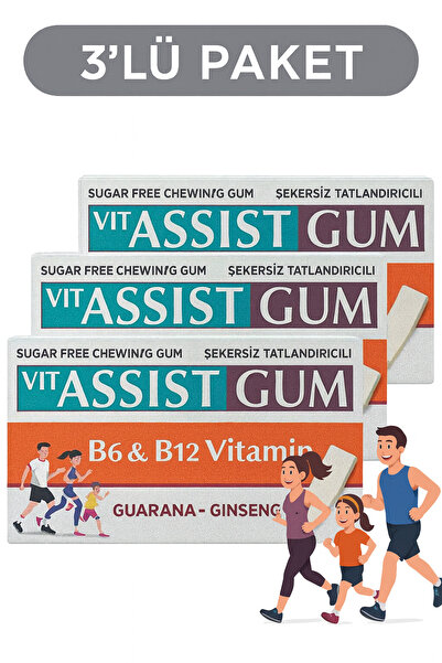 GUM 3 Adet Sakız & with B6, B12 GUARANA - GİNSENG – Şekersiz, Tatlandırıcılı (27 gr)