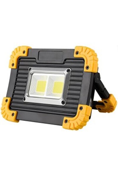 OEM Headlamp/lantern with LED array, 20 W, portable