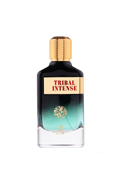 Grandeur Elite Apa de parfum Tribal Intense, Grandeur Elite, barbati, 100 ml