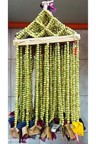 Aktar Depo Üzerlik Otu Süs