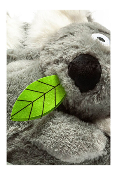 Twigy Koala Animal Gray Women's Slippers Aa0634