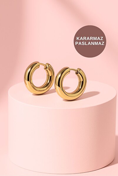 ALEXANDER HUD Modern Kararmaz Uzun Ömürlü Parlaklık Suya ve Terlemeye Dayanıklı Çelik Küpe